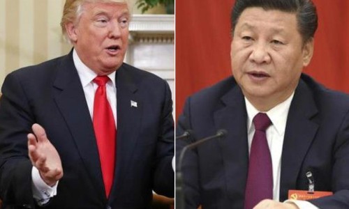 八爪金龙草药图片-【八爪金龙治咽炎正确吃法】八爪金龙正确用法 - 八爪金龙的副作用网